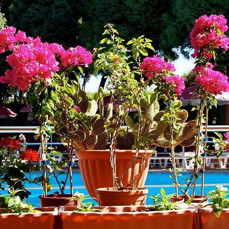 Hotel Donco Ohrid Exterior photo
